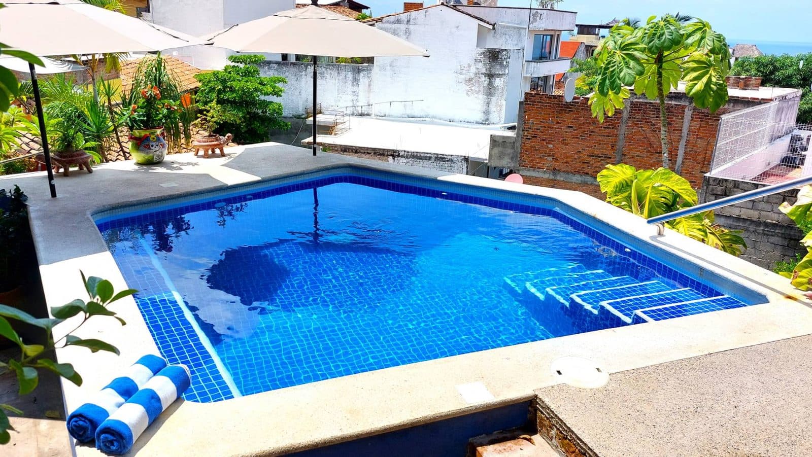 La alberca climatizada de agua salada desde arriba: azulejo azul, escalones y sombrillas entre las plantas